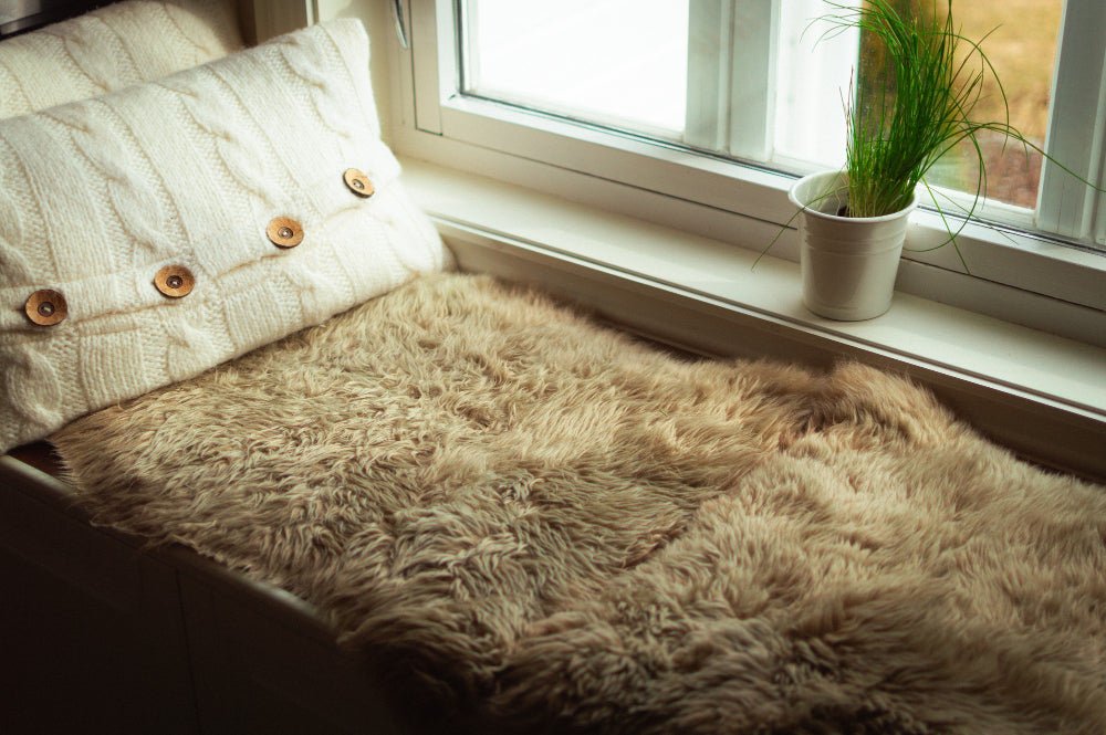 How to Keep a Shaggy Rug Clean When You Have Kids or Pets