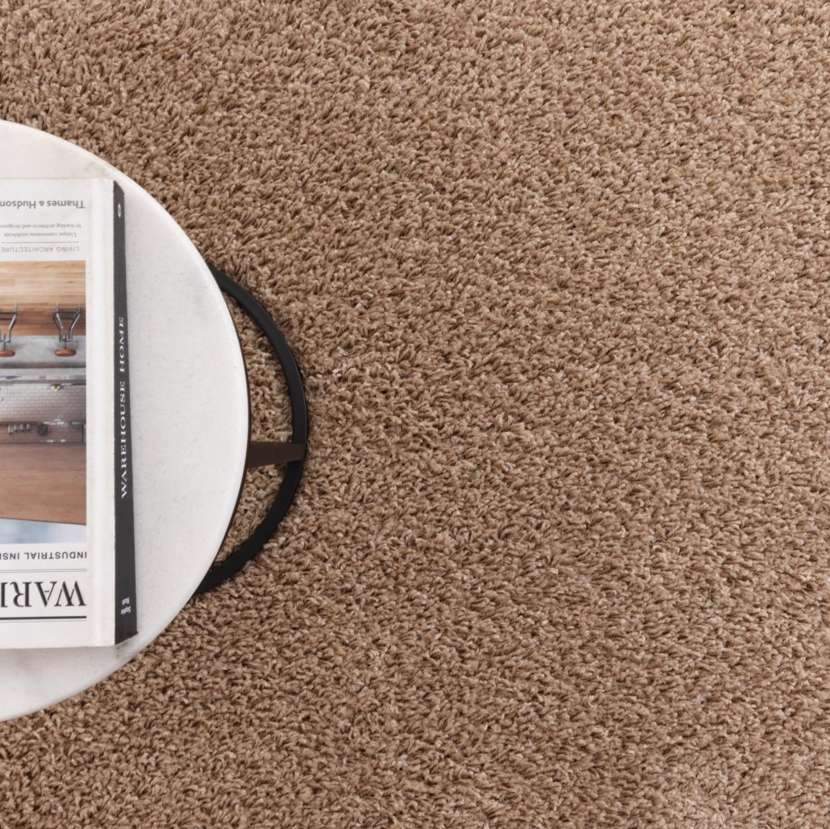 Plush Light Beige Shaggy Rug Area Rug | Ruggy