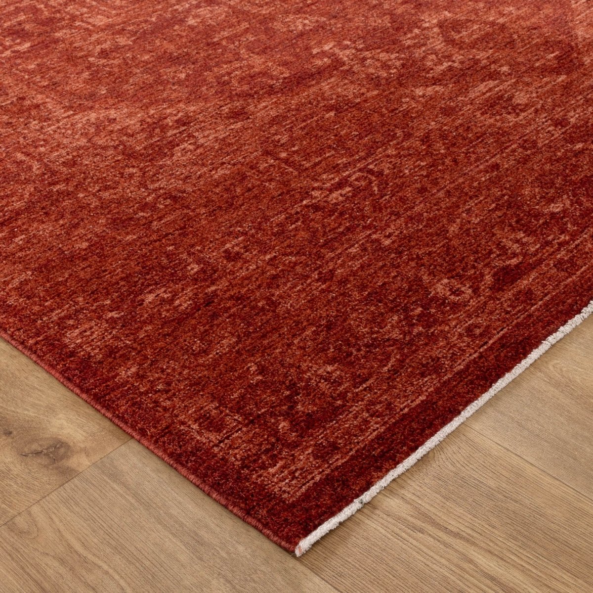 Tarra Distressed Medallion Rust Rug