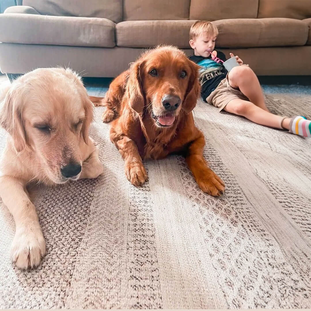 Best Pet-Friendly Rugs: Durable & Stylish Choices - Ruggy