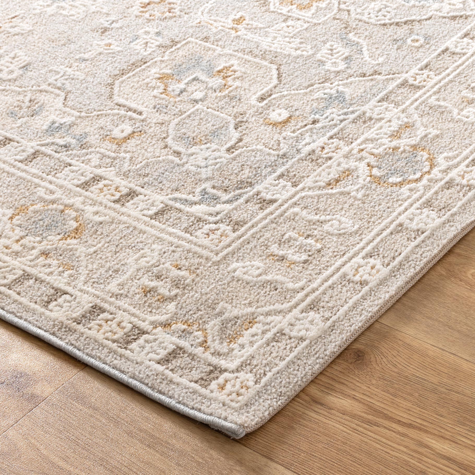 Nora Medallion Beige Multi Transitional Rug