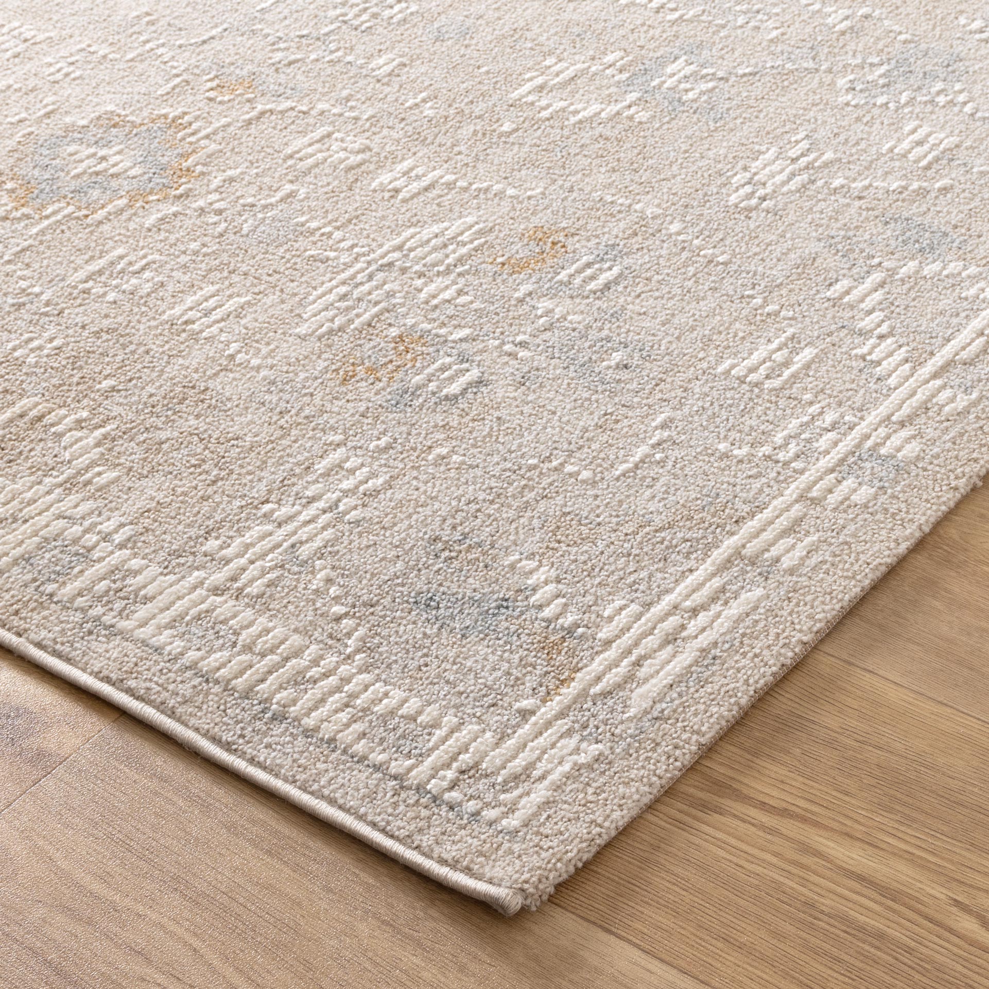 Nora Floral Beige Multi Transitional Rug