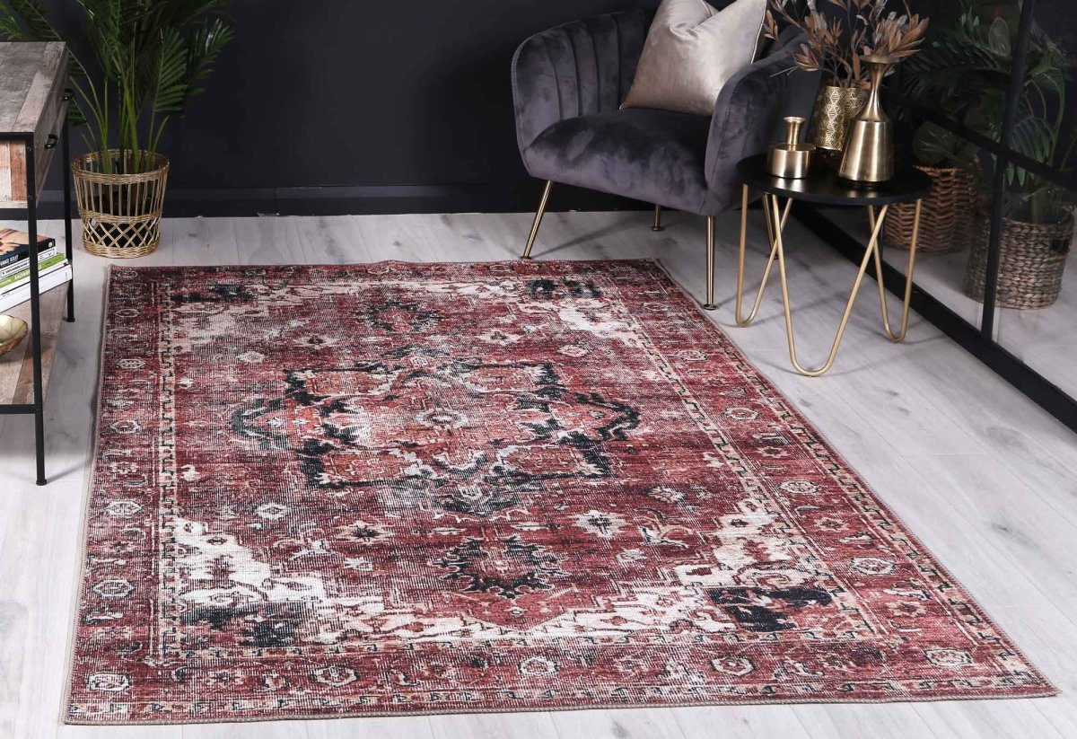 Distressed Vintage Cezanne Terracotta Area Rug