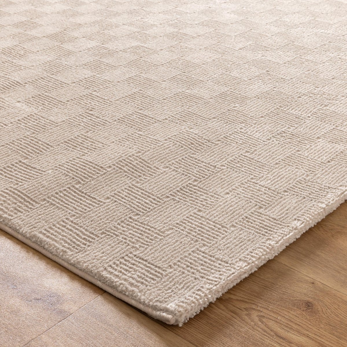 Jervis Checkers Beige Rug