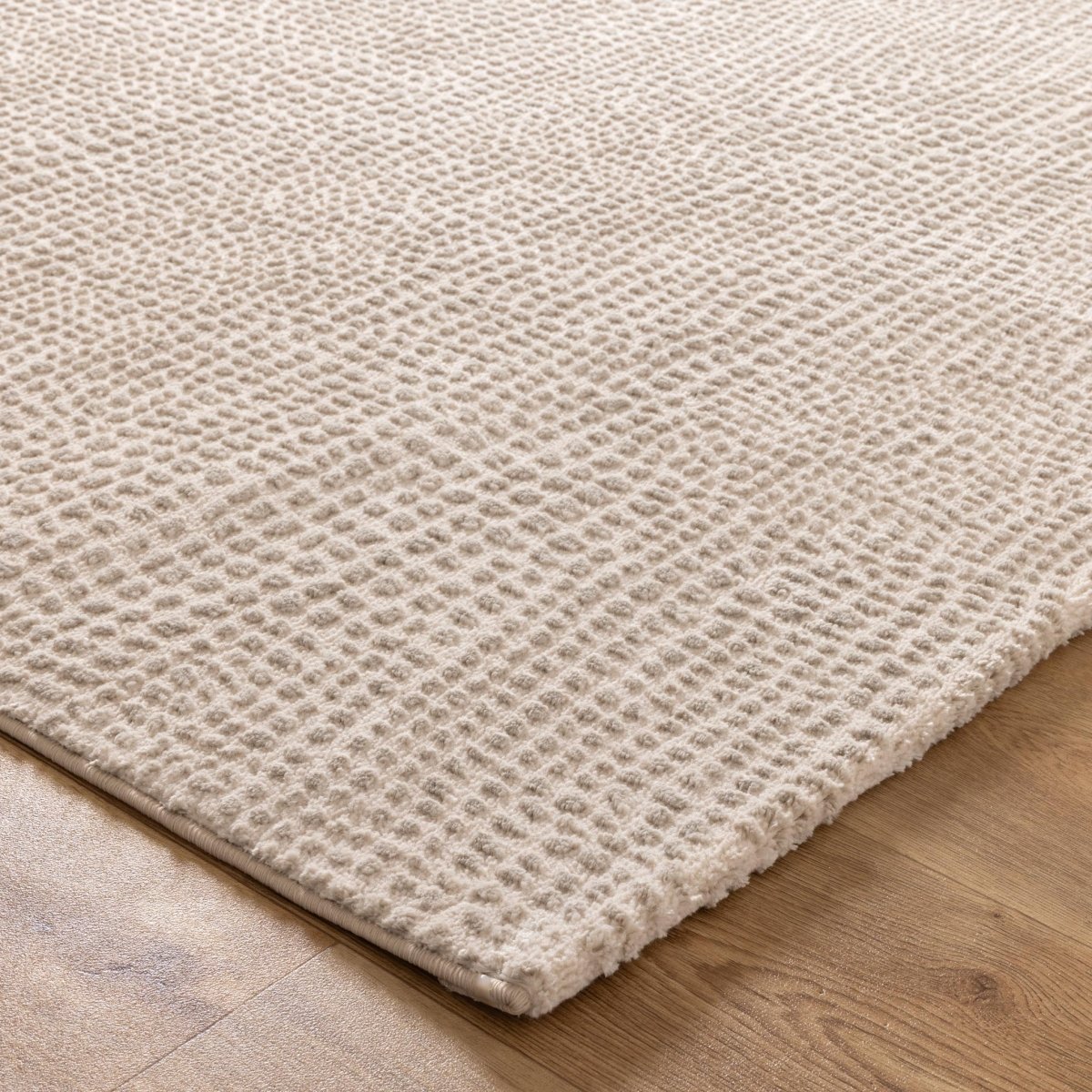 Jervis Cobblestone Beige Rug