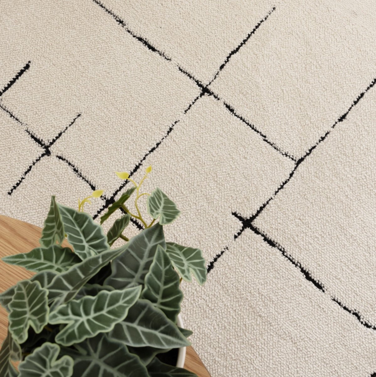 Luna Abstract Lines Black Cream Rug