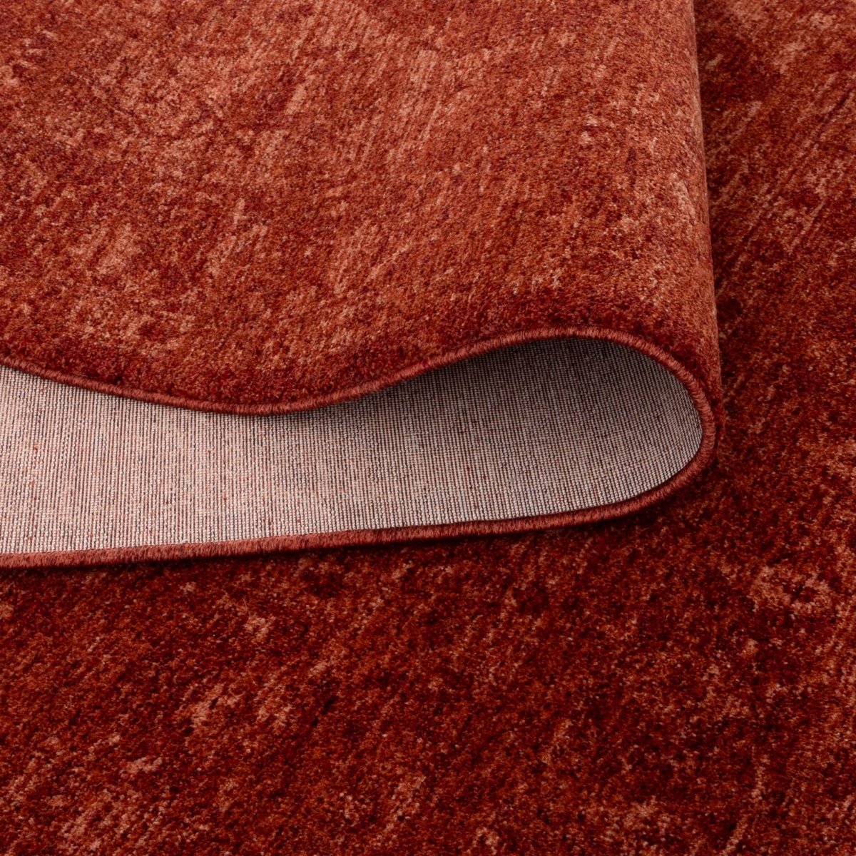 Tarra Distressed Medallion Rust Rug