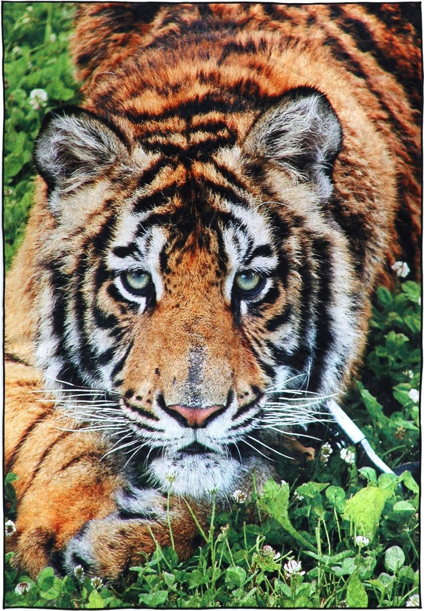 Dazzle Tiger Art Rug - Ruggy